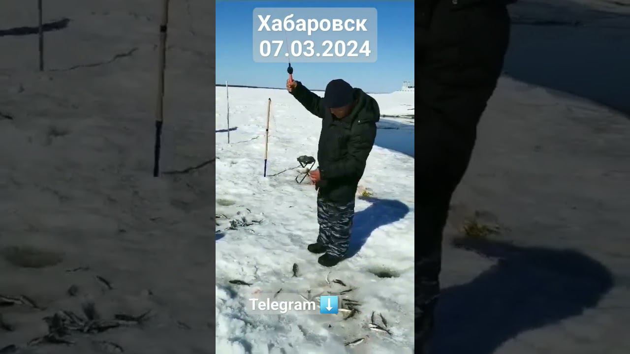 рыбалка у Хабаровска #рыбалка #яспиннингист смотреть онлайн