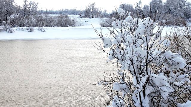 На берегу реки Кубань, ГМР, Краснодар