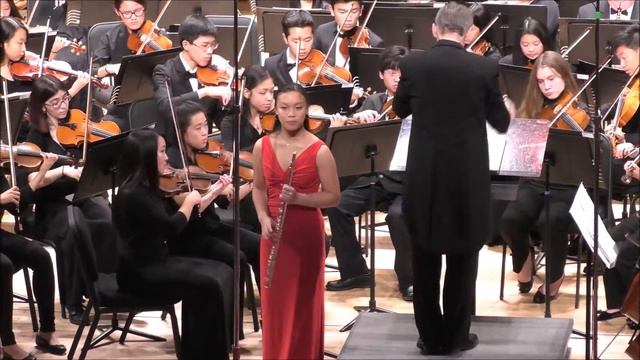 Bizet-Borne Carmen Fantaisie for Flute смотреть онлайн