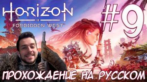 Horizon Запретный Запад PC ПРОХОЖДЕНИЕ НА РУССКОМ НА ПК #9