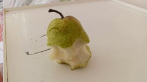 Ем грушу 
Плз не отключаете комментарии