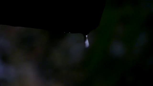 Капли с крыши. Конец дождя. смотреть онлайн