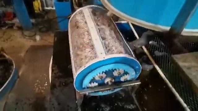 УНИВЕРСАЛЬНЫЙ БИОЛОГИЧЕСКИЙ ФИЛЬТР смотреть онлайн