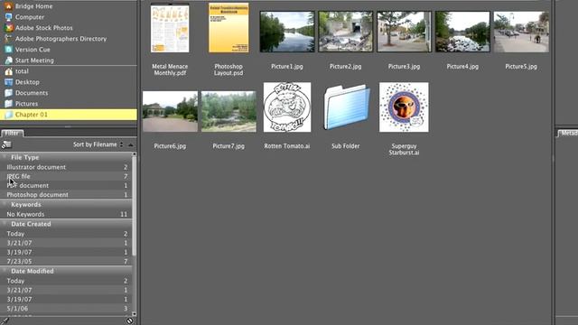 Viewing Files in Bridge - adobe cs3 design course || ebd2 смотреть онлайн