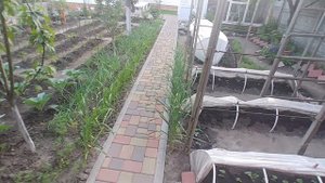 Ландшафтный дизайн двора 6 соток лето: грядки, клумбы, плодовые деревья