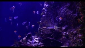 Медитация Соединение с Высшим Я?Как найти себя и свое призвание? Разговор с душой!