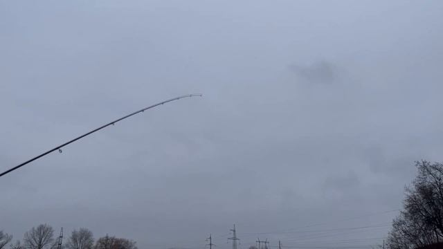 Спиннинг фаворит черный лебедь .Favorite Black Swan BSW1-6102SUL-HS 2.08м 0.8-4г смотреть онлайн