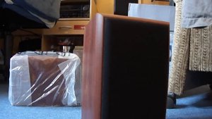 Magnat monitor supreme 100 unboxing