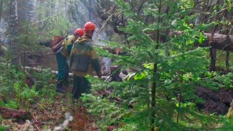 В Якутии огнем охвачены десятки тысяч гектаров леса