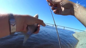 Что может СПИННИНГ за 1000$ ДОЛЛАРОВ? Обзор Super Finezza Esagonale GOSFES-792UL-T