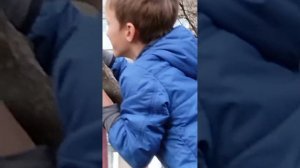 Гарри Поттер 8 часть
