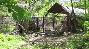 В Приморье полиция обнаружила плантации с коноплей