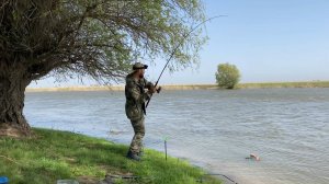 ПОШЛА ЖАРА! ОТМЕННЫЙ КЛЁВ САЗАНА НА ЖМЫХ. УРАГАННЫЙ ВЕТЕР НЕ ПОМЕХА. РЫБАЛКА С НОЧЁВКОЙ. АСТРАХАНЬ.