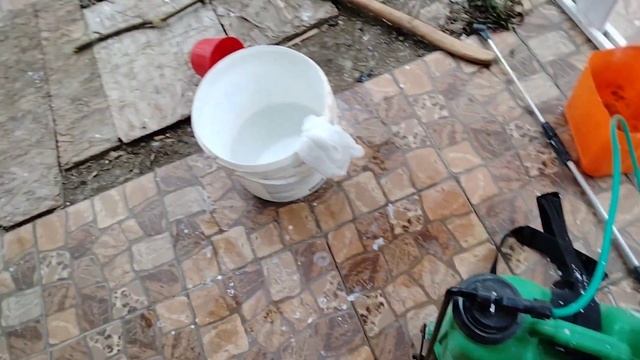 Приготовление бордоской жидкости,время обрабатывать сад.#бордоскаяжидкость#сад#деревья#