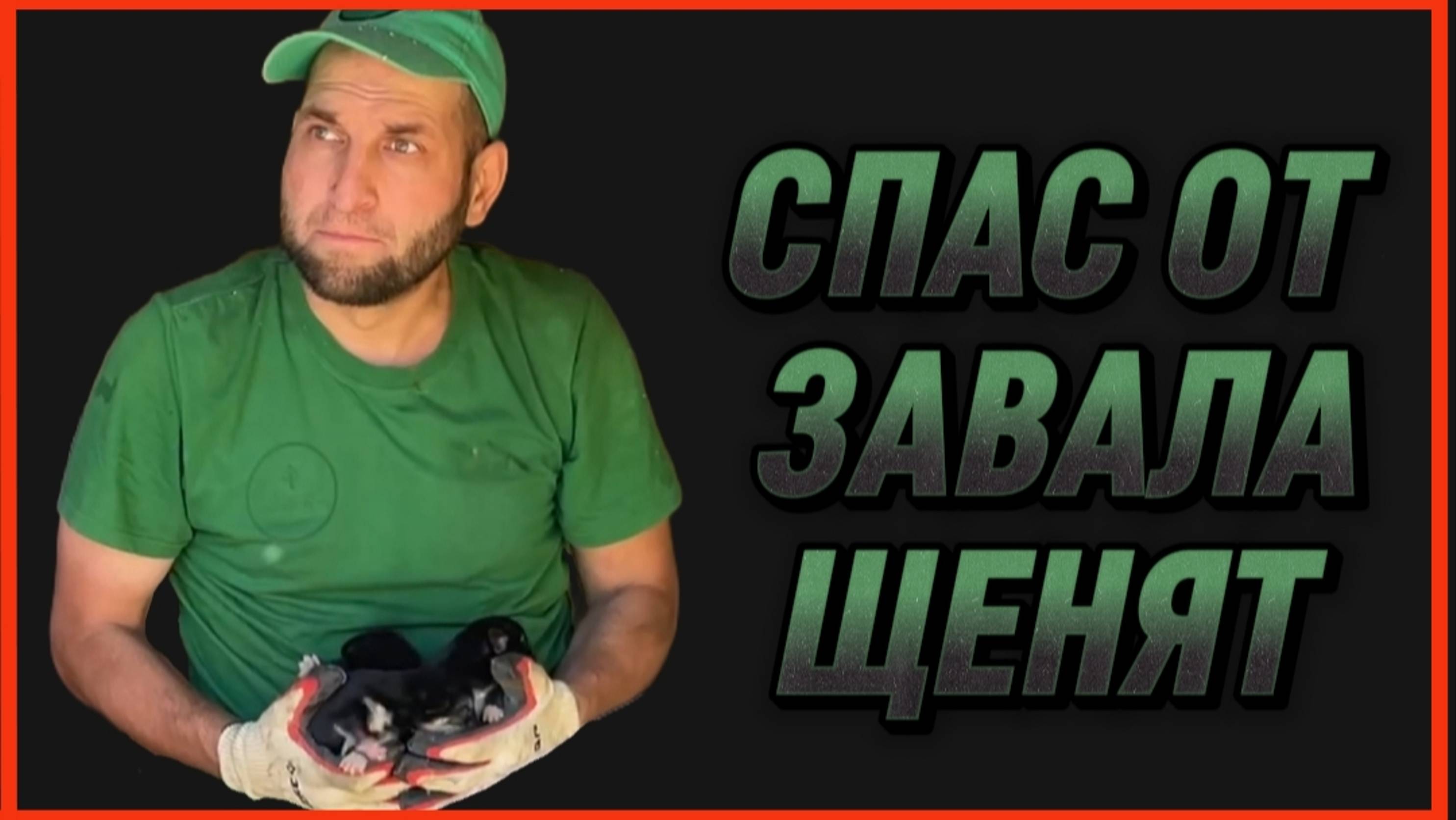 СПАС ОТ ЗАВАЛА ЩЕНЯТ #добро