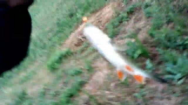 Лучший способ ловли "голавля" на малой реке. смотреть онлайн