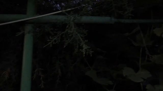 копчение свинной булдыжки 2 - копчение смотреть онлайн