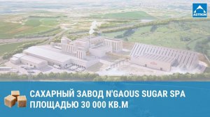 Сахарный завод N’GAOUS SUGAR Spa (Groupe Mazouz)