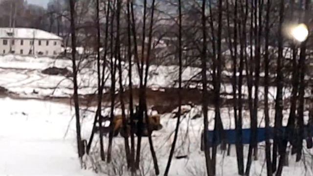 Строительство школы город Чайковский микрорайон Уральский смотреть онлайн