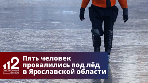 Пять человек провалились под лёд в Ярославской области