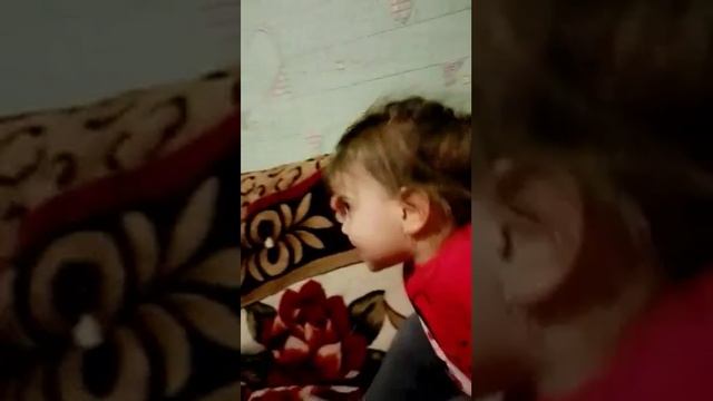 Моа смотреть онлайн