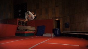 Мировой рекорд: видеопрофайл Гаврила Данилова