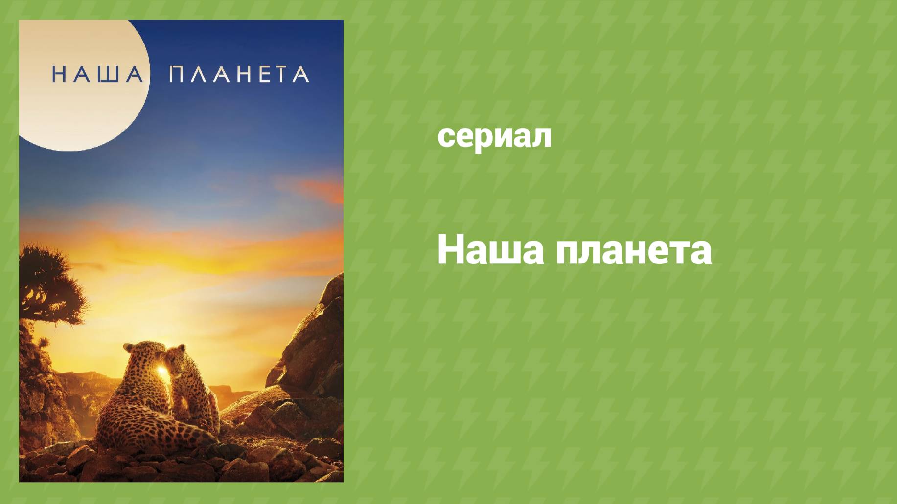 Наша планета 1 сезон 3 серия «Джунгли» (документальный сериал, 2019)