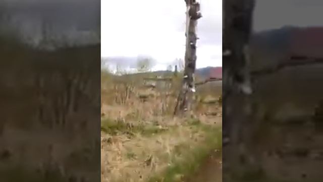 в кытлыме