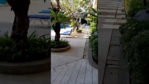 Обзор отеля Royal Twins Palace Hotel 2019 год.Часть 1.