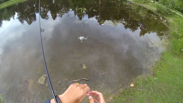 Знакомство с ловлей ротана на спиннинг [HD 1080] смотреть онлайн