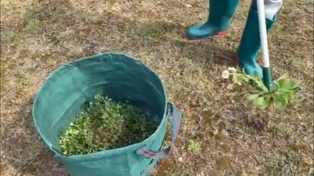 Полезные товары для дома, дачи, сада и огорода с Aliexpress смотреть онлайн