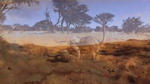 Сурикаты: Большая жизнь маленьких существ