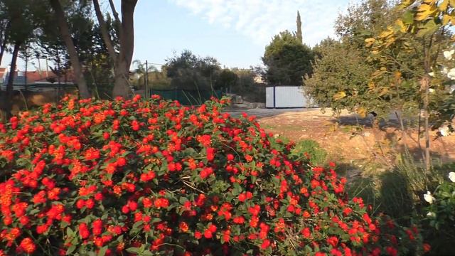 Деревенька моя/ Village смотреть онлайн