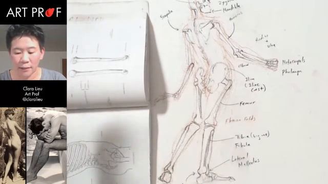 BEST Anatomy Exercise: Drawing a Skeleton inside a Figure смотреть онлайн