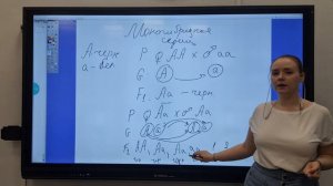 Задачи на Моногибридное скрещивание.