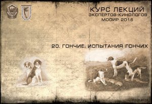 Лекция 20. Гончие. Испытания гончих. (Курсы экспертов-кинологов МООиР 2016)