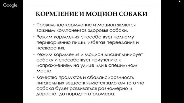 Первые дни собаки в доме смотреть онлайн