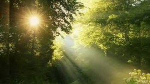 Федор Тютчев ***Весенняя гроза *** аудиостих