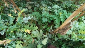 покатушки на мотоблоке и установка лебедки