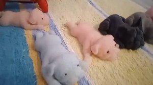 Мини Влог со Сквиши Собачками💜