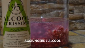 LIQUORE al MELOGRANO