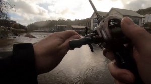 Is the Kastking Valiant Eagle 2 the new Budget BFS King?????????