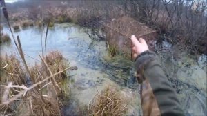 Охота на ондатру мордами.Переехал на новые места (Будни охотника и рыбака)