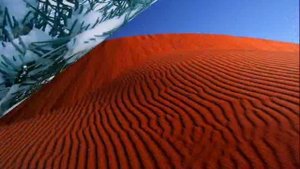 М. Лермонтов "Сосна"