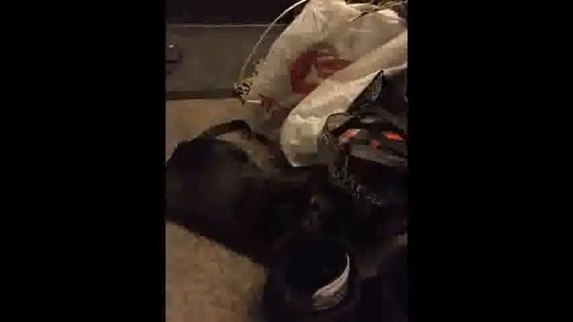 Берегите всё живое смотреть онлайн