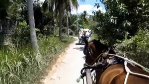 Vietnamese village Вьетнамская деревня