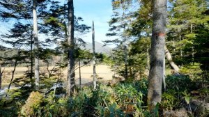 尾瀬って広すぎ!!綺麗ずぎ!!圧倒的景色に絶句した!!｜尾瀬国立公園｜湯ノ花温泉｜ドライブ｜田舎暮らし｜福島県｜4K