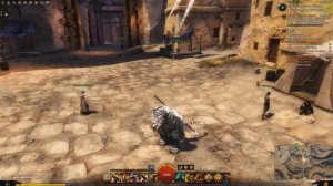 Guild wars 2 Расы и классы