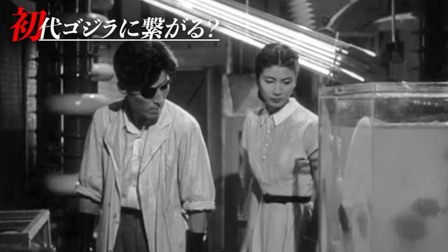 ９割の人が気付けない驚愕伏線が新たな絶望に繋がる？ゴジラ-2.0の可能性【ゴジラ/Godzilla/東宝/マイナスワン】 смотреть онлайн