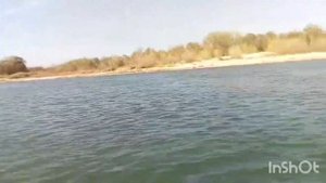 казанка+мотор 9.9(15)